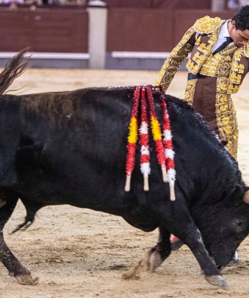 El Mene se reivindica por el camino del toreo