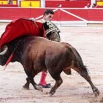 La mala suerte de una corrida muy movida de La Palmosilla en Pamplona