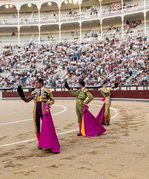 Combate nulo y certamen desierto en Las Ventas: El Mene, Nacho Torrejón y Mario Vilau volverán a Madrid en Otoño