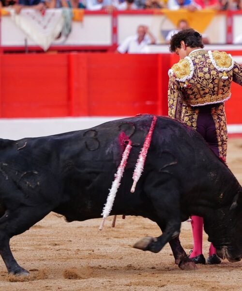 Albert Serra no habría filmado este triunfo de Roca Rey en Santander