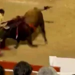 Morante de la Puebla sufre una cogida con su quinto toro en Palma de Mallorca