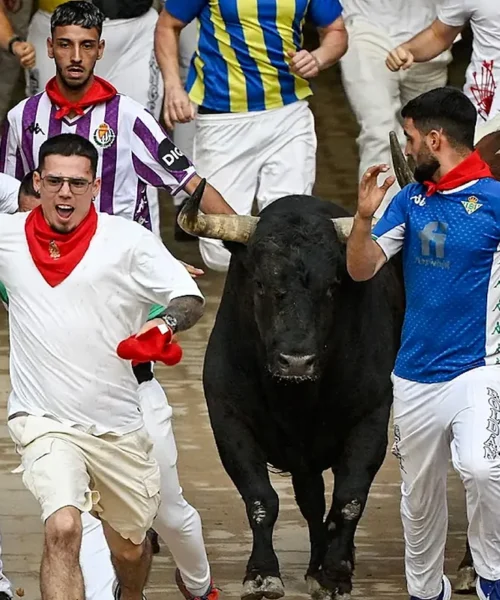 Sexto encierro de San Fermín 2026 con toros de La Palmosilla: una carrera masificada
