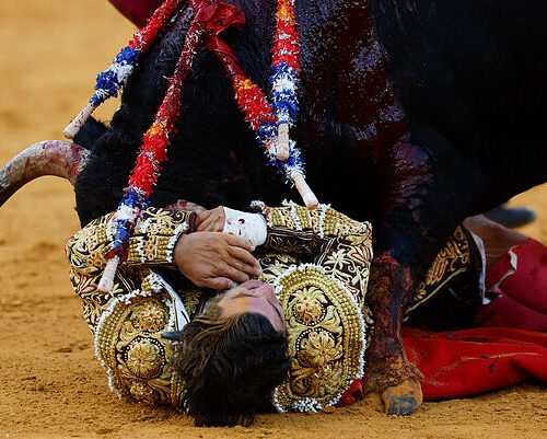 Morante vuelve a nacer entre la incomprensión; triunfan Roca Rey y David de Miranda en Málaga
