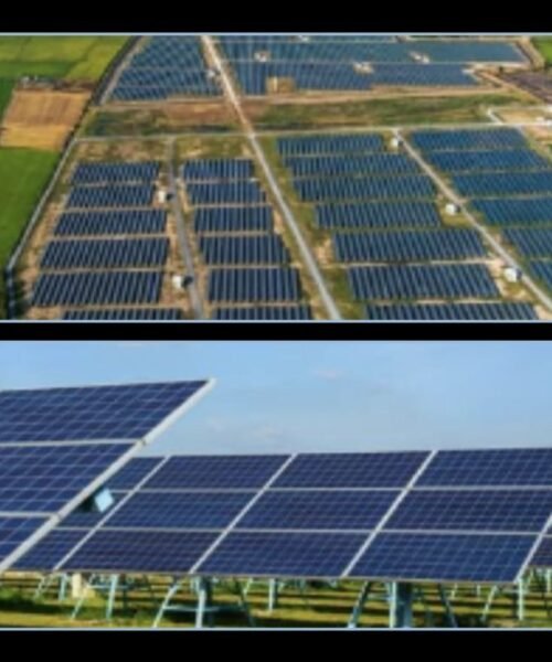 NEPR certifica finca que combina placas solares y actividad agrícola para que genere energía