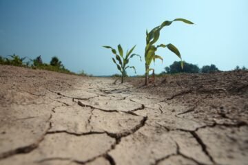 Gobierno ampliará demarcación de sequía extrema
