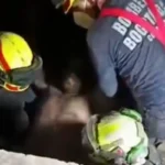 Así rescataron los bomberos de Bogotá a un joven atrapado tras el terremoto: hay 3.000 desaparecidos