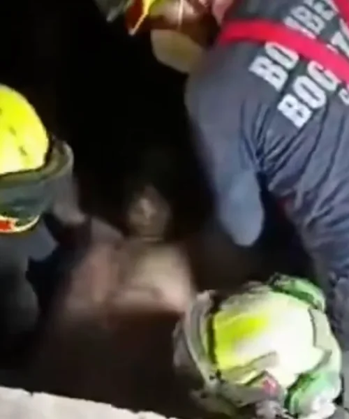 Así rescataron los bomberos de Bogotá a un joven atrapado tras el terremoto: hay 3.000 desaparecidos