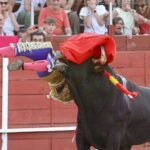 El novillero catalán Adame Espinosa sufre una grave cornada en Mejorada del Campo