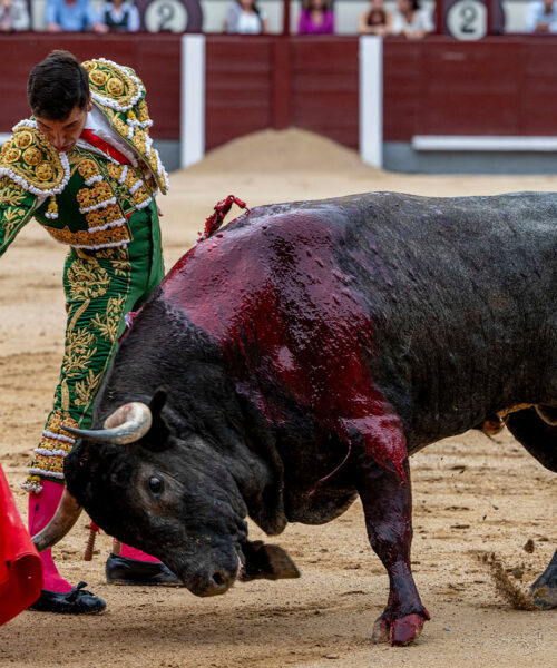 Venegas corta una oreja en la concurso de Las Ventas que se lleva Pallarés